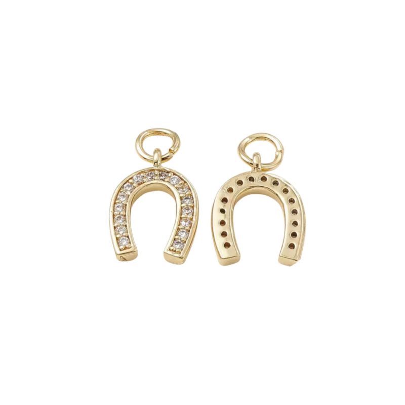 Horseshoe Lucky Charm